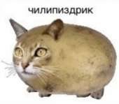 372x328