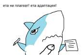 602x401