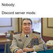 592x592