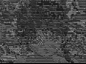 720x540