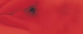 640x266