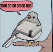 362x360