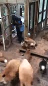 360x640