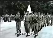 300x220