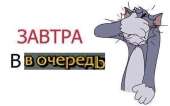 605x380