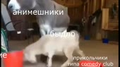 640x360