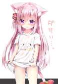 736x1061