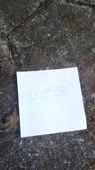 406x720