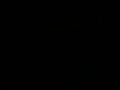 384x288