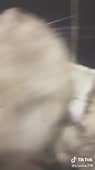 320x568