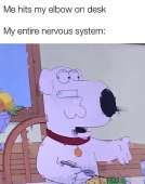 632x800