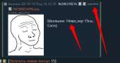 488x261
