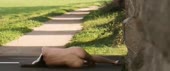 640x270