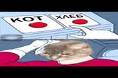 720x480