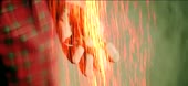 480x222