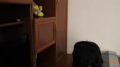 640x360