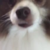 360x360