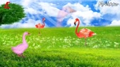 640x360