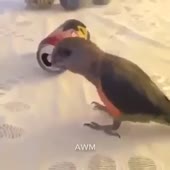 360x360