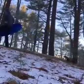 320x320