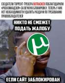 850x1080