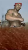 316x560