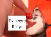 491x356