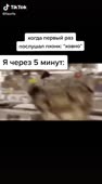 400x720