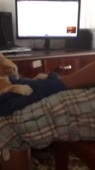 406x720