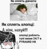 462x480