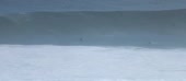1010x444