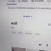 480x480