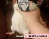 604x474