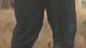 818x460