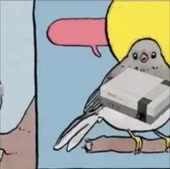 362x360