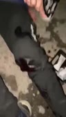 360x636