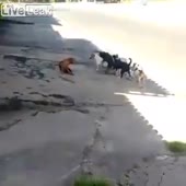 360x360