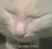 400x372