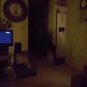 360x360
