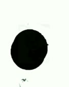 640x800