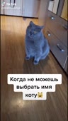 544x960