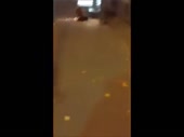 480x360