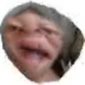 240x240