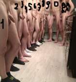 302x325
