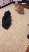 360x640