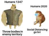 373x274