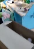 432x624