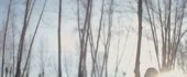 640x266