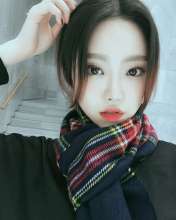 736x919