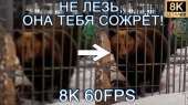 1280x720